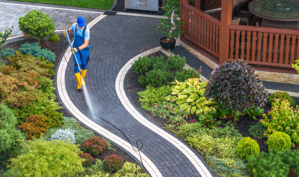 Best Residential Pressure Washing Services  in Cynthiana, KY